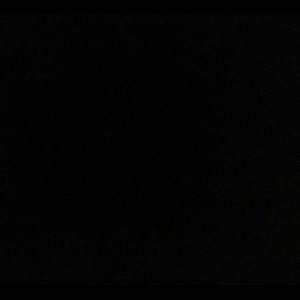 Meet your Posher, Victor